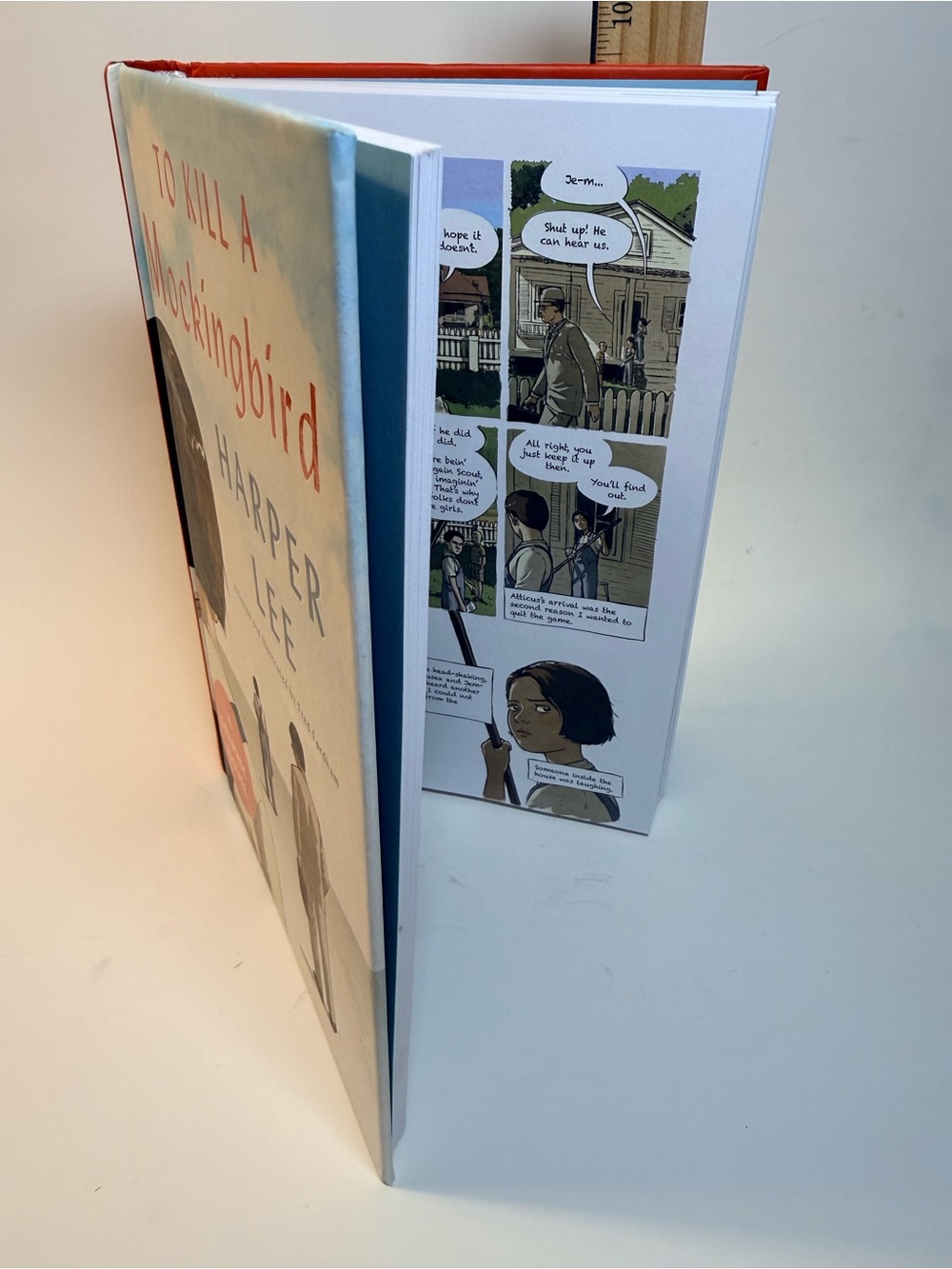 Graphic illustrated Novel To Kill a Mockingbird book by Lee and Fordham